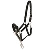 HorseGuard Halter with Chain Black Control Halter with Chain Stallion