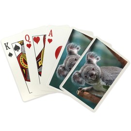 Lantern Press Koala (52 Playing Cards, Poker Size Card Deck with Jokers)