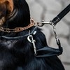 Herm. Sprenger Prong Collar Safety Clip with Reflective Stripes 6"-8"