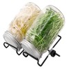 Lulonpon 4 Pieces Sprouting Lids, 304 Stainless Steel Screen Sprout