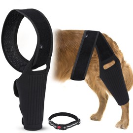 Augot Dog Knee Brace for ACL Hind Leg with Metal Spring Support, ACL Brace for Dogs Rear Leg Tear CCL with Dog Pull Collar, Support for Medium and Large Dogs（Size XL）