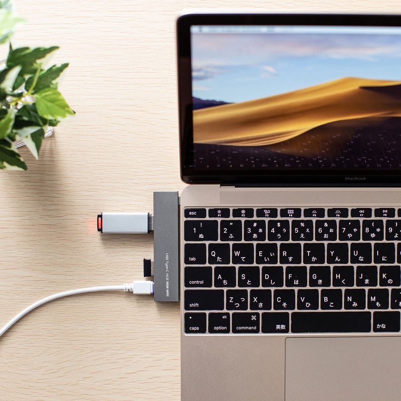 Sanwa Supply USB-3TCH21SN USB Hub, Type-C Connection, Combo (3 USB