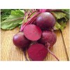 CZ Grain 250 Red Beets Seeds to Grow Made in