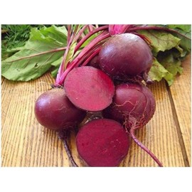 CZ Grain 250 Red Beets Seeds to Grow Made in USA Ships from Iowa