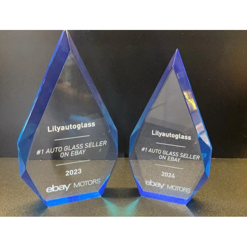 NAGD Fits 2001-2005 Toyota RAV4 Driver Left Side Front Door