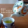Yuyugroman Light Pot with Tea Strainer, Made in Japan, Hasamiyaki,