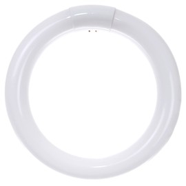Sunlite 05015 FC8T9/CW T9 Round Fluorescent Circline Lamp, 22 Watts, 1250 Lumens, 4100K Cool White, RoHS Compliant, G10Q 4-Pin Base, 1 Pack