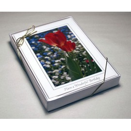 Photographer's Edge Cleartop Greeting Card Box, For 5" x 7" (A-7) Cards, Qty 50