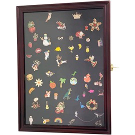Coin and Coins Collector Medal/Lapel Pin, Honored Medallion Display Case Shadow Box Holder, Lockable, Front Opener Cabinet (Cherry)