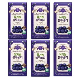 hallberry 6 boxes of 14 packs of 20g organic blueberries made from whole whole berries / 홀베리 통째로 갈아만든 유기농 블루베리 20g 14포 6박스