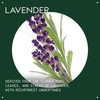 Aveda Lavender Essential Oil + Base | Calming Aroma |