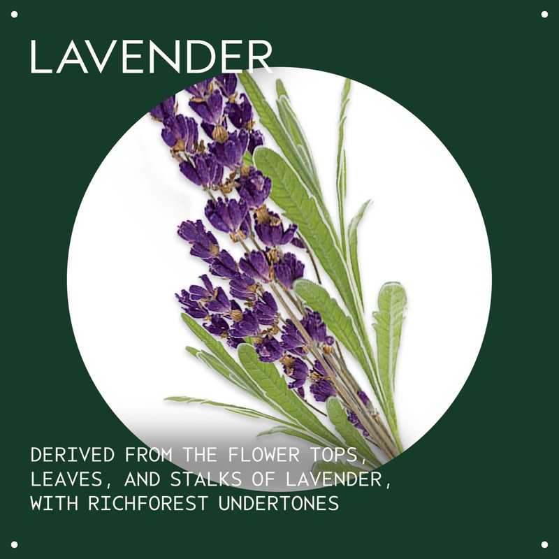 Aveda Lavender Essential Oil + Base | Calming Aroma |