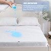 Beedsooth Waterproof Mattress Cover with Zip, Against Mites, Mattress Protector,