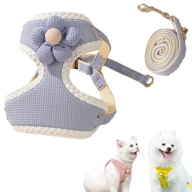 ArnéS Universal con Correa para Perros y Gatos, ArnéS para Gatos A Prueba de Escapes, Set De Floral Pechera Arnes Y Correa, ArnéS Ajustable para Perros PequeñOs, Perros Medianos (Azul, S)