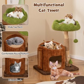 Tangkula Solid Wood Cat Tree, Natural Branch Cute Kitten Tower with Jute Scratching Post & Mat, Tree Hole Condo, Bed, Perch, Dangling & Spring Balls, Small Cat Climbing Stand for Indoor Cats & Kittens