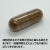 エクレクティック ノコギリヤシ (ソウパルメット) Ecoパック 600mg×45カプセル ec181