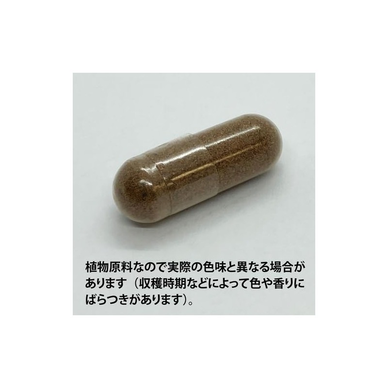 エクレクティック ノコギリヤシ (ソウパルメット) Ecoパック 600mg×45カプセル ec181