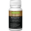 Vitaceuticals Advanced Berberine Plus 60 Capsules