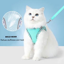 Dog Harness and Leash Set, No Pull Adjustable Reflective Pet Harness for Small Medium Dogs, Easy Walk Step in Vest Harness Outdoor Hiking Training for Extra Small Dogs, Puppy, Cats(Green, XXS)