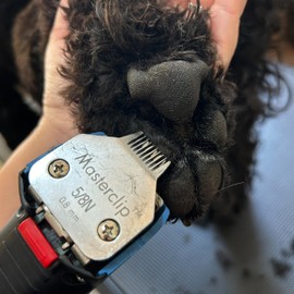 Masterclip Dog Clipping Blade A5 Clipper Blades 50F 40F 30F 15F 10F 9F 7F 7 5F 5# 4F 4# 3F 3# 2F 2# 5/8N Toe Blade Compatible Oster Andis (5/8N Toe Blade)