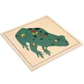 MONTESSORI Frog Puzzle - MONTESSORI BIOLOGY/ZOOLOGY MATERIALS