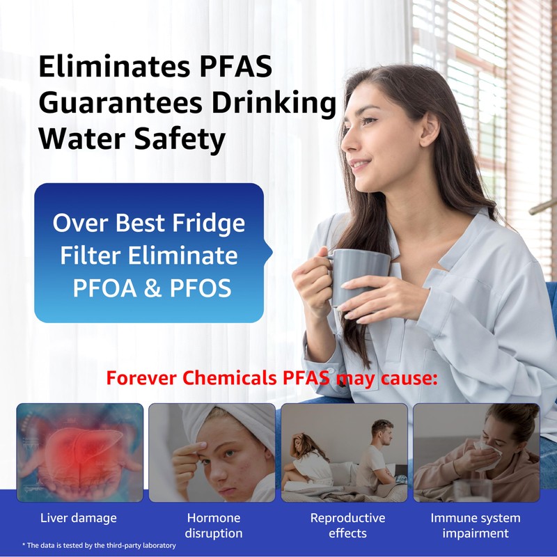 Overbest OB6008 Refrigerator Water Filter Replacement for 4396841, Everydrop® Filter