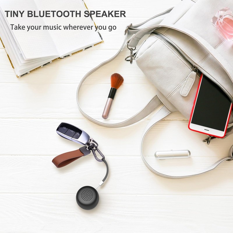 LEICEX Mini Bluetooth Speaker, Small Tiny Portable Bluetooth 5.0 Speakers