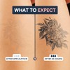 Temporalis® Heart Tattoo Temporary Vegan Waterproof EU Cosmetic Lasts 1