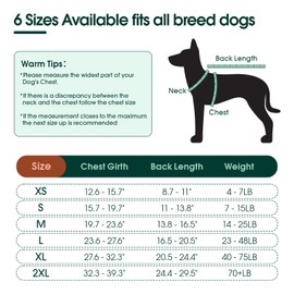 Kuoser Dog Recovery Suit After Surgery, Recovery Suit for Female Male Dogs, Substitute E-Collar & Cone, Dog Spay Suits Anti Licking Wounds Onesie, Soft Breathable Dog Surgical Suit,Pink XS