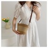 WXQCJL Straw Clutch Purse for Women Boho Straw Crossbody Bags