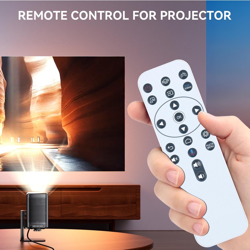 PZL RCI068 Replacement Remote Control Without Voice Function for BenQ