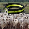 The Cow Collar is Adjustable in Size, Suitable for Managing