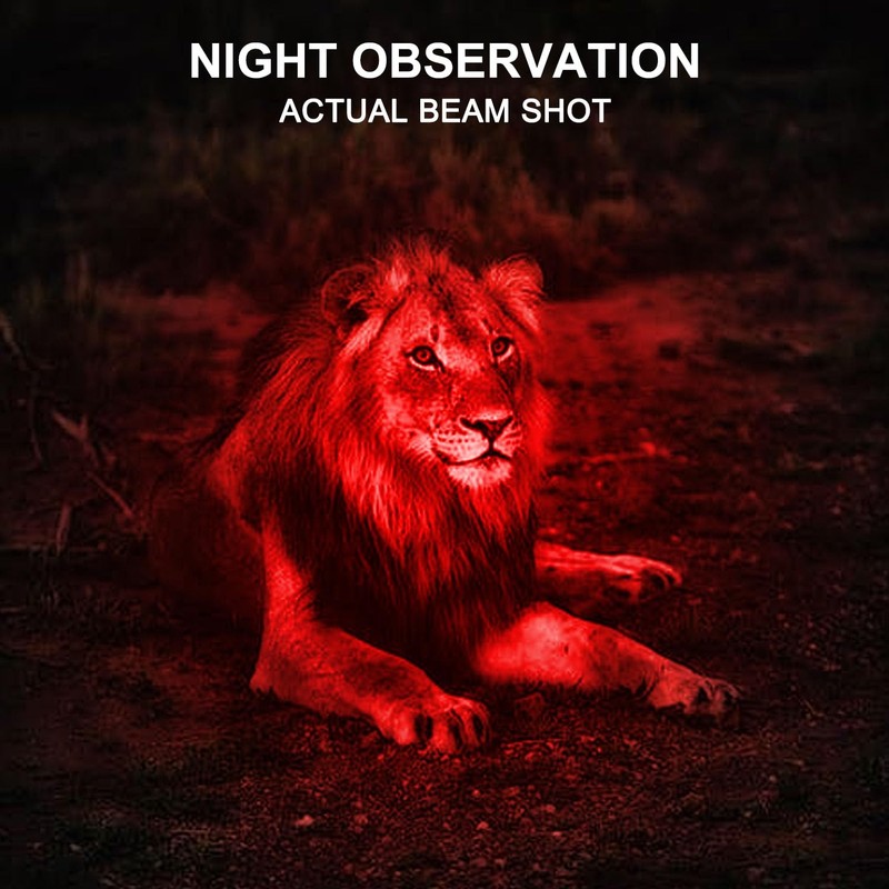 HYVCZP 6 Pack Mini Red LED Flashlight - Zoomable, Single