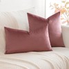 Artscope Luxury Velvet Cushion Covers Super Soft Decorative Rectangle Throw