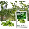 Sugar Daddy Snap Pea Seeds for Planting, 50+ Heirloom Seeds