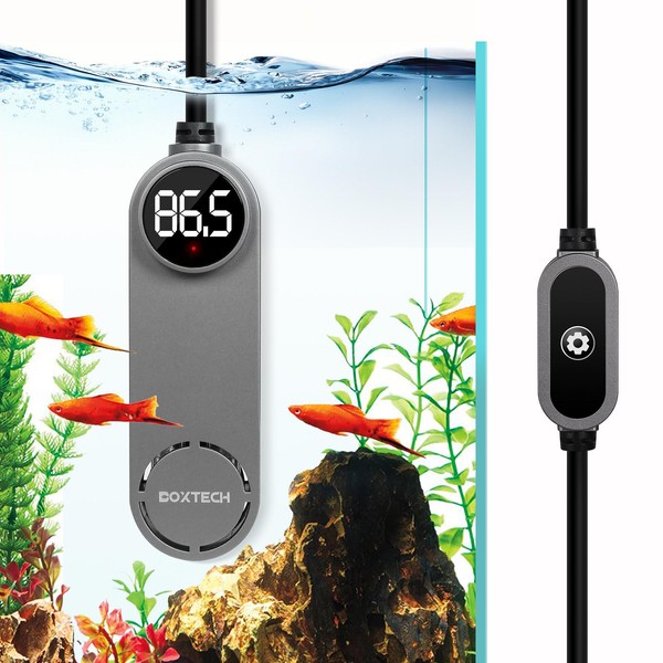 boxtech Betta Fish Tank Heater - Small Aquarium Heater 75w