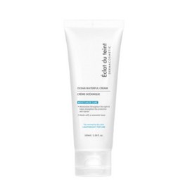 Eclat Dutin Ocean Waterful Moisturizing Cream 100ml / 에끌라뒤땅 오션 워터풀 수분 크림 100ml