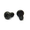 Stainless Steel/SS Black (+) Pan Head Screws (Full Screws) M3