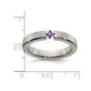 Ladies 4mm Brushed Titanium Wedding Band Ring with Amethyst