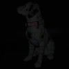 Mile High Life Dog Collar | Nylon Reflective Dog Collars