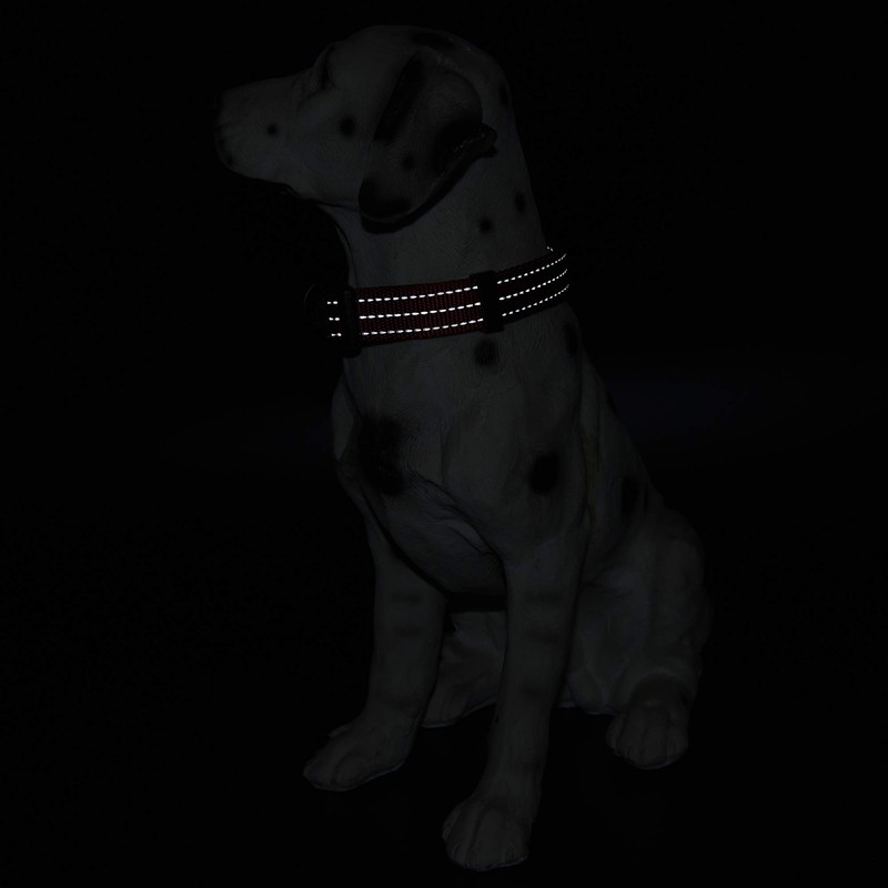 Mile High Life Dog Collar | Nylon Reflective Dog Collars