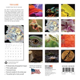 RED EMBER Too Close 2025 Wall Calendar 12 Month | 12" x 24" Open | Thick & Sturdy Paper | Giftable | Calendar 2025