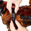 Yesito Chicken Harness Hen Size with 5.5ft Matching Leash –