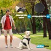 DOLCEPAW Dog Harness for Medium Dogs, Dog Harness, No Pull,