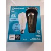 EcoSmart 75-Watt Equivalent ST19 Dimmable Vintage LED Light Bulb Daylight
