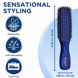 GIORGIO Hair Brush for Men and Women, Gentle Mini Detangler Hair Brush for Thick Hair, Scalp Massager Brush, Travel Detangling Brush, All Hair Types - Blue, 1 Count