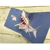 Shark POP-UP Card - Sea Creatures