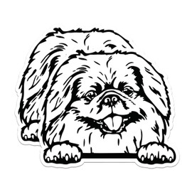 (2 Pack) Dog Magnets - Cute Dog Face Magnets - Puppy Animal Magnet - Home Fridge ation Magnet - 5" On Longest Side - for Cars, Fridges, Toolboxes - Made in USA - MAG4047