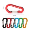 Boundless Voyage Carabiner with Storage Bag (Gray, Set of 20)
