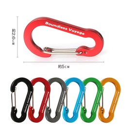 Boundless Voyage Carabiner with Storage Bag (Gray, Set of 20)